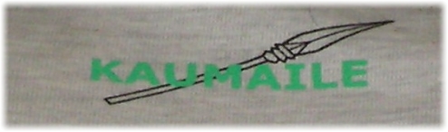 Kaumaile from Talavou shirt